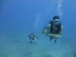 Hawaii Scuba divng 11