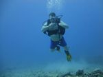 Hawaii Scuba divng 13