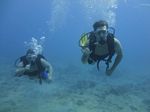 Hawaii Scuba divng 19