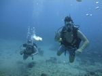 Hawaii Scuba divng 20