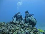 Hawaii Scuba divng 21