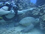 Hawaii Scuba divng 34