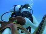 Hawaii Scuba divng 46