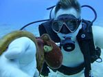 Hawaii Scuba divng 47