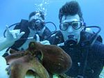 Hawaii Scuba divng 48