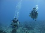 Hawaii Scuba divng 09