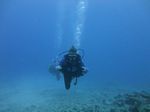 Hawaii Scuba divng 13