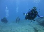 Hawaii Scuba divng 14