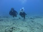 Hawaii Scuba divng 17