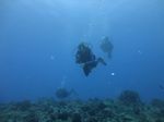 Hawaii Scuba divng 18