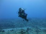 Hawaii Scuba divng 20