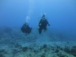 Hawaii Scuba divng 21