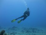 Hawaii Scuba divng 22