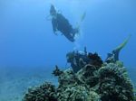 Hawaii Scuba divng 26