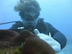 Hawaii Scuba divng 31