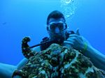 Hawaii Scuba divng 15