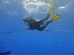 Hawaii Scuba divng 21