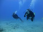 Hawaii Scuba divng 25