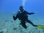 Hawaii Scuba divng 26