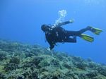 Hawaii Scuba divng 31