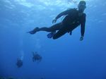 Hawaii Scuba divng 37