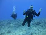 Hawaii Scuba divng 38