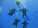 Hawaii Scuba divng 40