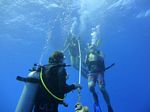 Hawaii Scuba divng 05