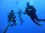 Hawaii Scuba divng 07