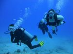 Hawaii Scuba divng 13