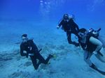 Hawaii Scuba divng 14