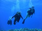 Hawaii Scuba divng 17