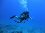 Hawaii Scuba divng 19