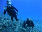 Hawaii Scuba divng 20