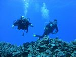 Hawaii Scuba divng 26