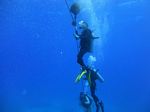 Hawaii Scuba divng 27