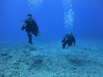 Hawaii Scuba divng 36