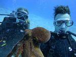 Hawaii Scuba divng 43