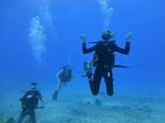 Hawaii Scuba divng 48