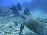 Hawaii Scuba divng 52