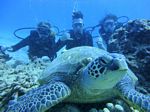 Hawaii Scuba divng 54