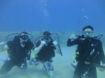 Hawaii Scuba divng 10