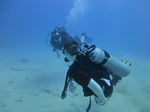 Hawaii Scuba divng 12