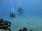 Hawaii Scuba divng 13