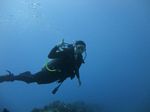 Hawaii Scuba divng 14