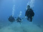 Hawaii Scuba divng 15