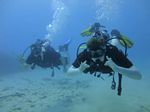 Hawaii Scuba divng 16