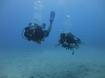 Hawaii Scuba divng 17