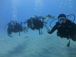 Hawaii Scuba divng 18