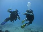 Hawaii Scuba divng 22